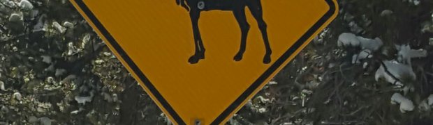 Colorado 2015:
20151107_121946_001_resized