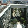 View the image: Oasis of the Seas 016