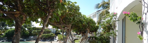 St Maarten:
DSCN0061