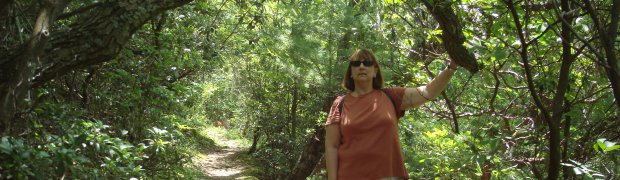 Virginia:
Virginia Part 2 024